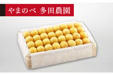 ≪2025年 先行予約≫さくらんぼ 特選月山錦 桐箱詰 約700g「やまのべ多田農園」 F2Y-1396