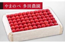 ≪2025年 先行予約≫さくらんぼ 特選佐藤錦 桐箱詰 約1100g「やまのべ多田農園」 F2Y-1397