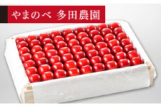 ≪2025年 先行予約≫さくらんぼ 特選紅秀峰 桐箱詰 約1100g「やまのべ多田農園」 F2Y-1399