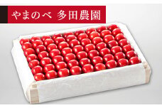 ≪2025年 先行予約≫さくらんぼ 特選「真夏のルビー紅姫」桐箱詰 約1100g「やまのべ多田農園」 F2Y-1400