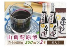  山ぶどう原液500ml×2本 化粧箱入り F2Y-4077