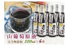  山ぶどう原液500ml×6本 F2Y-4078