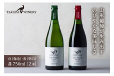 タケダワイナリー サン・スフルセット 750ml F2Y-1695