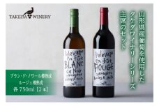 タケダワイナリー 樽熟成セット(ブラン・ド・ノワール＆ルージュ) 750ml ワイン 家庭料理 食事 辛口 ワインセット 母の日 父の日 ギフト 山形県 葡萄酒 送料無料 ふるさと納税 F2Y-1696