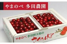 ≪2025年 先行予約≫「山形美人」バラ詰 L～2Lサイズ 500g×2「やまのべ 多田農園」 F2Y-1734