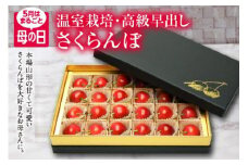 5月はまるごと母の日　山形さくらんぼ　佐藤錦　L24粒　チョコ箱 FSY-2214