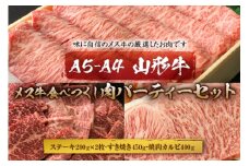 A5-A4 山形牛メス牛食べつくし 肉パーティーセット F2Y-1755