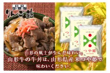 つや姫と山形牛・牛丼の具セット F2Y-1781