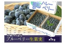 《先行予約 2026年度発送》《数量限定・期間限定》有機JAS認定 栽培ブルーベリー 生果実 約1kg FSY-2386