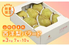《先行予約 2025年度発送》【王将果樹園】西洋梨バラード3kg 洋梨  なし ナシ 梨 デザート フルーツ 果物 くだもの 果実 食品 山形県 FSY-0062