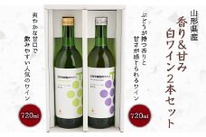 【王将果樹園】オリジナルワイン白（香りのナイアガラ＆甘味のデラウェア）2本セット F2Y-8147