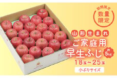 《先行予約 2025年度発送》【王将果樹園】ご家庭用早生ふじ 5kg  りんご リンゴ 林檎 デザート フルーツ 果物 くだもの 果実 食品 山形県 FSY-0076