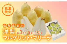 《先行予約 2025年度発送》【王将果樹園】洋梨マルゲリット・マリーラ 3kg  なし ナシ 梨 デザート フルーツ 果物 くだもの 果実 食品 山形県 FSY-0079