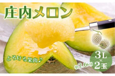 《先行予約 2025年度発送》庄内メロン 2玉3L 約2.6kg 青肉メロン メロン 青肉 デザート フルーツ 果物 くだもの 果実 食品 山形県 FSY-0500