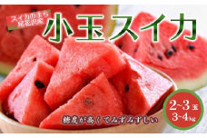 《先行予約 2025年度発送》小玉スイカ（3~4kg）2~3玉 スイカ すいか 西瓜 デザート フルーツ 果物 くだもの 果実 食品 山形県 FSY-0501
