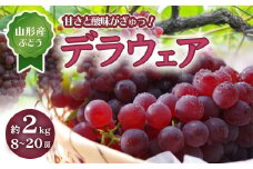 《先行予約 2025年度発送》デラウェア 約2kg 8~20房 FSY-0504