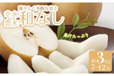 《先行予約 2025年度発送》和なし（幸水または豊水）　約3kg 7~12玉  なし ナシ 梨 デザート フルーツ 果物 くだもの 果実 食品 山形県 FSY-0513