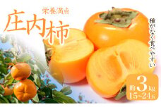 《先行予約 2025年度発送》ご家庭用 庄内柿 約3kg 15~24玉  柿 かき デザート フルーツ 果物 くだもの 果実 食品 山形県 FSY-0514
