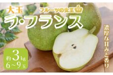 《先行予約 2025年度発送》大玉ラ・フランス 約3kg 6~9玉  なし ナシ 梨 デザート フルーツ 果物 くだもの 果実 食品 山形県 FSY-0515