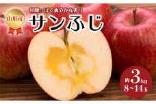 《先行予約 2025年度発送》サンふじ 約3kg 8~14玉  りんご リンゴ 林檎 デザート フルーツ 果物 くだもの 果実 食品 山形県 FSY-0516