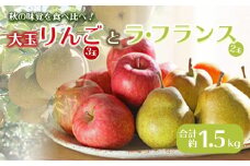 《先行予約 2025年度発送》大玉リンゴ 3玉 ラ・フランス 2玉 約1.5kg  りんご リンゴ 林檎 デザート フルーツ 果物 くだもの 果実 食品 山形県 FSY-0517