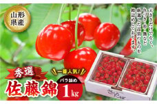 《先行予約 2025年度発送》佐藤錦 秀選バラ詰め【1kg】 FSY-2206