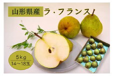 《先行予約 2025年度発送》【山形県産】ラ・フランス5kg（14～18玉/2L～4L）  なし ナシ 梨 デザート フルーツ 果物 くだもの 果実 食品 山形県 FSY-0404