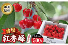 《先行予約 2025年度発送》紅秀峰 特選バラ詰め【500g】 FSY-2209