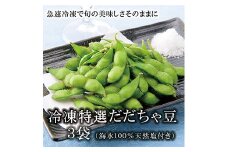 冷凍特選だだちゃ豆 3袋《山形県庄内産茶豆 冷凍豆》 F2Y-1853
