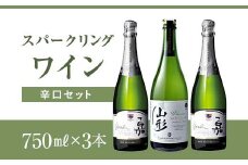 スパークリング 辛口セット F2Y-4355