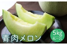 《先行予約 2025年度発送》 山形県産庄内メロン5kg【青肉メロン】4L～2Lサイズ  青肉メロン メロン 青肉 デザート フルーツ 果物 くだもの 果実 食品 山形県 FSY-0398