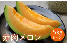 《先行予約 2025年度発送》山形県産庄内メロン約5kg【赤肉メロン】4L～2Lサイズ  赤肉メロン メロン 赤肉 デザート フルーツ 果物 くだもの 果実 食品 山形県 FSY-0399