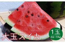 《先行予約 2025年度発送》山形県産 大玉スイカ1玉 L～2Lサイズ／約6～7.9kg  スイカ すいか 西瓜 デザート フルーツ 果物 くだもの 果実 食品 山形県 FSY-0400