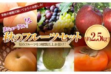 《先行予約 2025年度発送》秋のフルーツセット2.5kg ぶどう ブドウ 葡萄 デザート フルーツ 果物 くだもの 果実 食品 山形県 FSY-1895