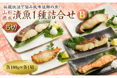 山形県水 漬魚1種詰合せB 5切 (1種5切 100g) F2Y-1999