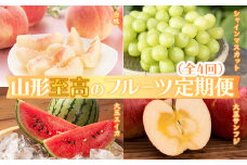 《2025年発送先行予約》山形至高のフルーツ定期便（全4回）  もも モモ 桃 デザート フルーツ 果物 くだもの 果実 食品 山形県 FSY-0097