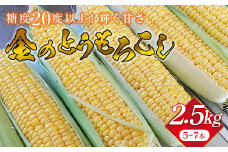 《先行予約 2024年度発送》輝く甘さ！金のとうもろこし  とうきび トウキビ とうもろこし トウモロコシ コーン 野菜 食品 山形県 FSY-1301