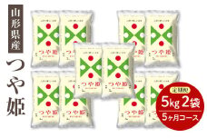令和6年度産米 【定期便】県産米つや姫10kg×5か月コース F2Y-4082