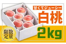 《先行予約 2025年度発送》フルーツ王国山形♪白桃秀品2kg FSY-0426