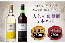 大浦葡萄酒 人気葡萄酒2本セット F2Y-2205