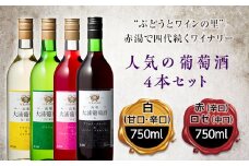 大浦葡萄酒 人気葡萄酒4本セット F2Y-2207