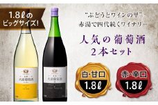 大浦葡萄酒 人気葡萄酒2本セット 1.8L F2Y-2208