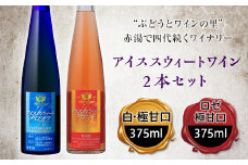 大浦葡萄酒 アイススウィートワイン2本セット F2Y-2209