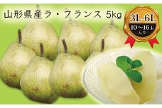《先行予約 2025年度発送》山形県産ラ・フランス5kg（10～16玉 3L～6L）  なし ナシ 梨 デザート フルーツ 果物 くだもの 果実 食品 山形県 FSY-0382