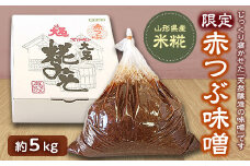 【限定】赤つぶ味噌 F2Y-2973