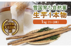 山形県産 雪国育ち自然薯 生芋1本物 1kg（1～3本） F2Y-5112