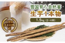 山形県産 雪国育ち自然薯 生芋1本物 1.5kg（2～4本） F2Y-5113