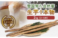 山形県産 雪国育ち自然薯 生芋1本物 2kg（3～5本） F2Y-5114
