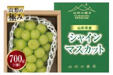 《先行予約》山形の極み 山形県産 シャインマスカット  マスカット ぶどう ブドウ 葡萄 デザート フルーツ 果物 くだもの 果実 食品 山形県 F2Y-1149