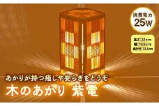 木のあかり 紫電 F2Y-2549